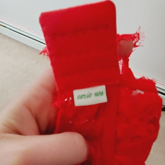 Aerie Lace Padded Red Longline Lounge Bralette M - Picture 4 of 5